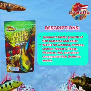 High Protein Dried Shrimp Pro++ MultiColor Booster for Baby Fish 5-20CM | El Barca Premium Feed for Betta, Guppy, Arowan