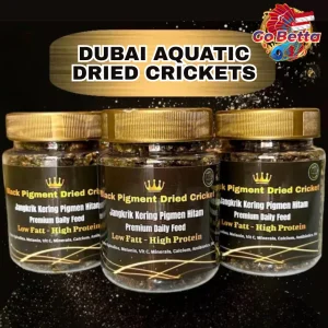 Dried Cricket Fish Food with Extra Spirulina – Nutritious Snack to Break Cabung for Arowana, Betta, Channa