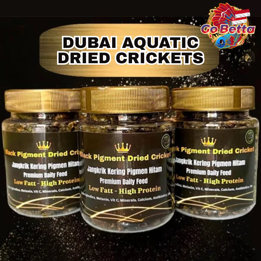 Dried Cricket Fish Food with Extra Spirulina – Nutritious Snack to Break Cabung for Arowana, Betta, Channa