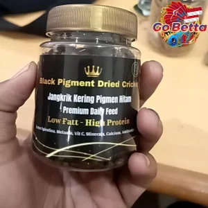 Dried Cricket Fish Food with Extra Spirulina – Nutritious Snack to Break Cabung for Arowana, Betta, Channa