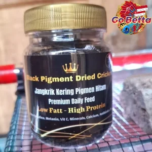 Dried Cricket Fish Food with Extra Spirulina – Nutritious Snack to Break Cabung for Arowana, Betta, Channa