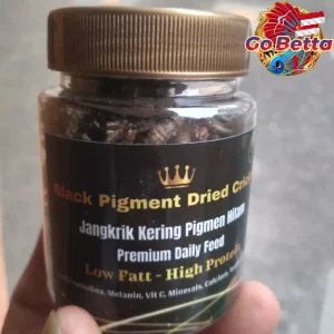 Dried Cricket Fish Food with Extra Spirulina – Nutritious Snack to Break Cabung for Arowana, Betta, Channa