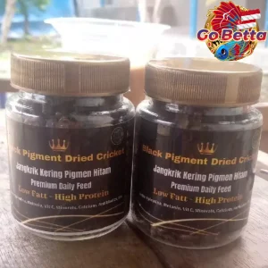 Dried Cricket Fish Food with Extra Spirulina – Nutritious Snack to Break Cabung for Arowana, Betta, Channa