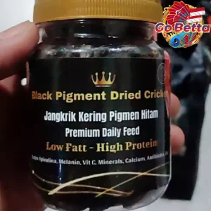 Dried Cricket Fish Food with Extra Spirulina – Nutritious Snack to Break Cabung for Arowana, Betta, Channa