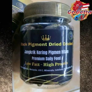 Dried Cricket Fish Food with Extra Spirulina – Nutritious Snack to Break Cabung for Arowana, Betta, Channa