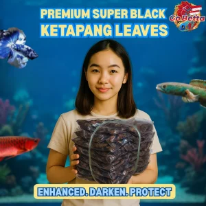 Premium Fermented Almond Leaf 800g for Aquarium – Soft Dried Ketapang Leaves for Betta, Channa, Arowana, Water Condition