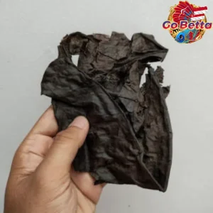 Premium Fermented Almond Leaf 800g for Aquarium – Soft Dried Ketapang Leaves for Betta, Channa, Arowana, Water Condition