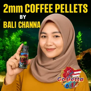🇸🇬 Channa Fish Food Kopi Pellet 2mm 45g  Bar Thickener & Fin Enhancer for Maru Limbata Blackening  GoBetta Formula
