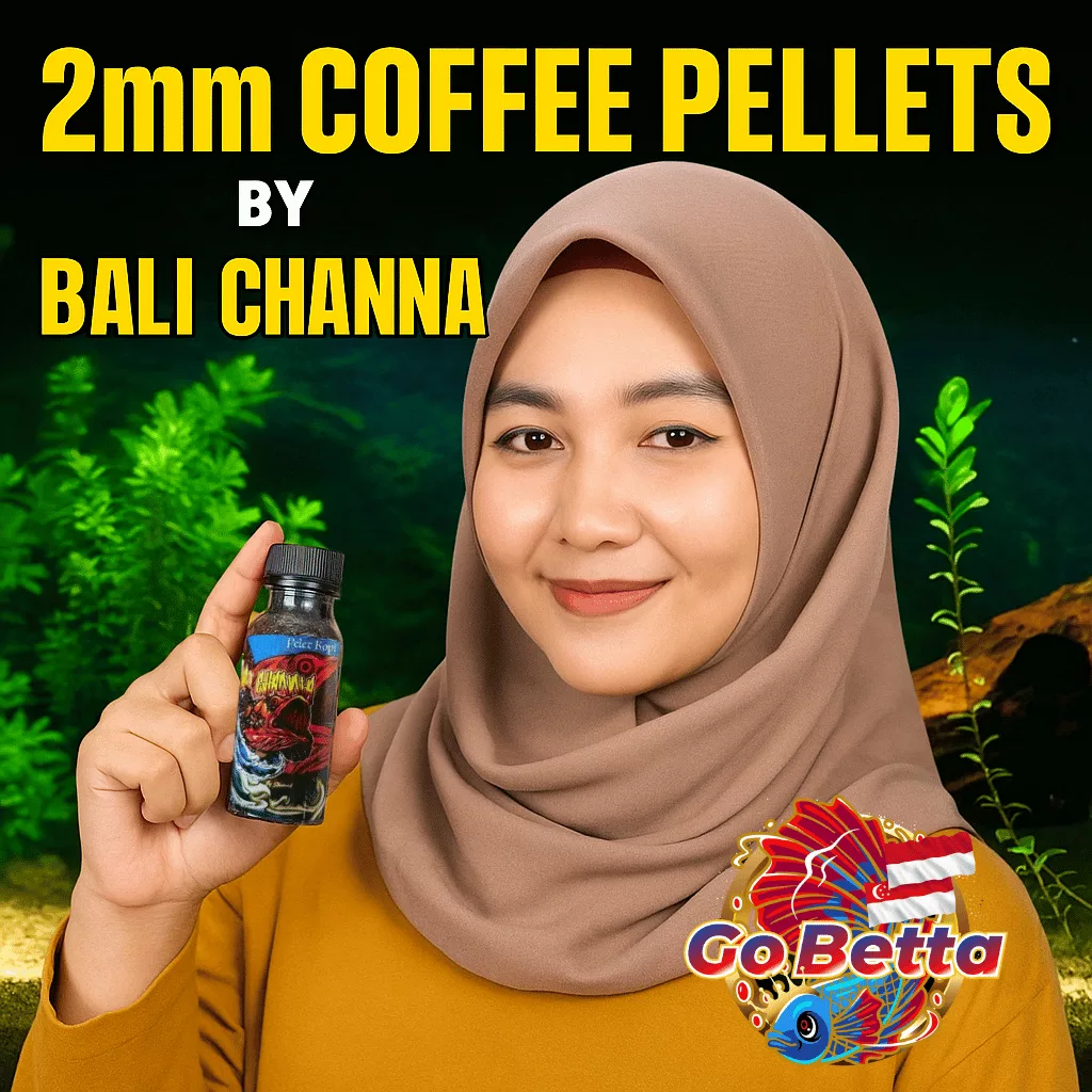 🇸🇬 Channa Fish Food Kopi Pellet 2mm 45g  Bar Thickener & Fin Enhancer for Maru Limbata Blackening  GoBetta Formula