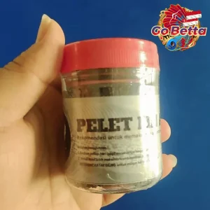 Fish Food Insect Protein for Channa Dwarf Auranti 50g Natural Nutrition Growth Support Color Boost Rim White Enhancement