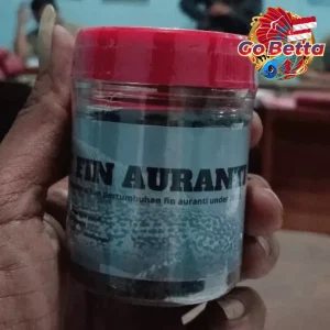Fish Food Insect Protein for Channa Dwarf Auranti 50g Natural Nutrition Growth Support Color Boost Rim White Enhancement