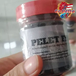 Fish Food Insect Protein for Channa Dwarf Auranti 50g Natural Nutrition Growth Support Color Boost Rim White Enhancement