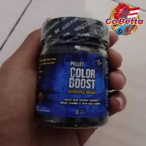 Fish Food Color Booster Pellet for Channa | Natural Nutrition with Carophyll for Red Blue Yellow Black Growth