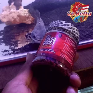 Fish Food Color Booster Pellet for Channa | Natural Nutrition with Carophyll for Red Blue Yellow Black Growth