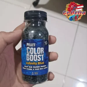 Fish Food Color Booster Pellet for Channa | Natural Nutrition with Carophyll for Red Blue Yellow Black Growth