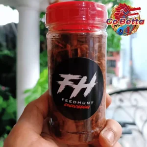 🇸🇬 Fish Food Insect Protein FeedHunt Super Premium Red BSF Maggot 50g Color Boost Growth Support for Channa