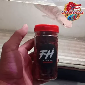 🇸🇬 Fish Food Insect Protein FeedHunt Super Premium Red BSF Maggot 50g Color Boost Growth Support for Channa