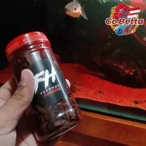 🇸🇬 Fish Food Insect Protein FeedHunt Super Premium Red BSF Maggot 50g Color Boost Growth Support for Channa