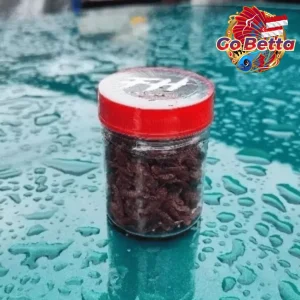 🇸🇬 Fish Food Insect Protein Red BSF Maggot FeedHunt by Gogochanna | Natural Nutrition Color Boost & Growth Support