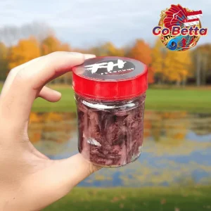 🇸🇬 Fish Food Insect Protein Red BSF Maggot FeedHunt by Gogochanna | Natural Nutrition Color Boost & Growth Support