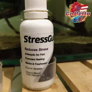 Seachem Stress Guard 30ml Fish Stress Relief Slime Coat Healing Formula for Aquarium Fish Transport Wound Recovery