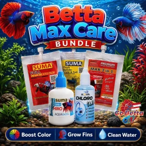 Betta Fish Care Bundle Suma Food Water Conditioner Color Booster Fin Growth Aquarium Premium Set Original