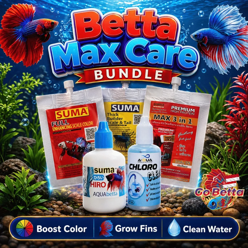Betta Fish Care Bundle Suma Food Water Conditioner Color Booster Fin Growth Aquarium Premium Set Original