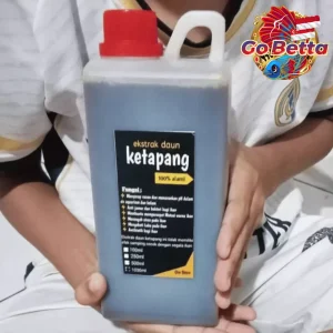 Improve Betta Fish Health: Premium Ketapang Leaf Extract 1L – Concentrated Natural Aquarium Water Treatment (SG Seller)