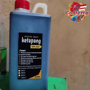 Improve Betta Fish Health: Premium Ketapang Leaf Extract 1L – Concentrated Natural Aquarium Water Treatment (SG Seller)