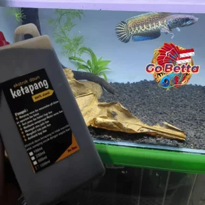 Improve Betta Fish Health: Premium Ketapang Leaf Extract 1L – Concentrated Natural Aquarium Water Treatment (SG Seller)