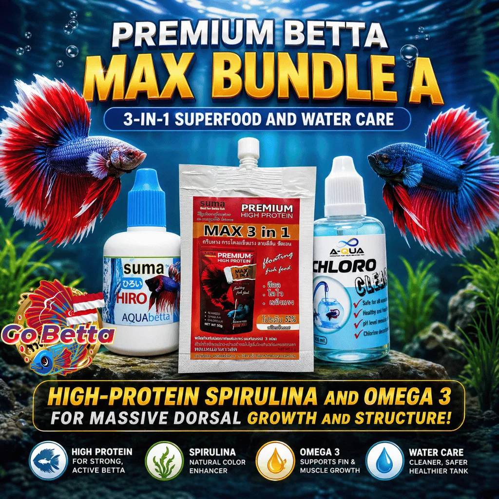Betta Fish Premium Bundle A High Protein Food Spirulina Omega 3 Water Care Color Growth Original Set