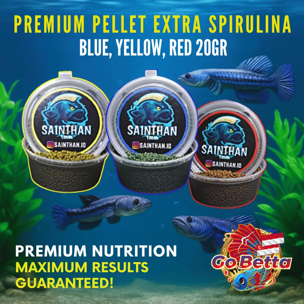 🇸🇬 Fish Food Premium Color Boost Pellets for Predator Fish | Natural Nutrition, Floating Feed, Growth & Color Support