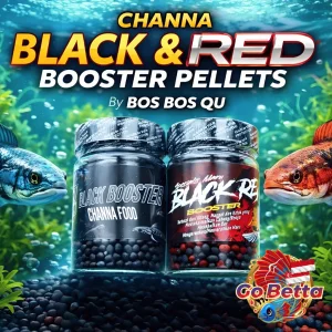 🇸🇬 Fish Food Black & Red Booster for Channa by BOS BOS QU | Insect Protein Color Boost Growth Support