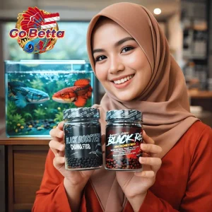 🇸🇬 Fish Food Black & Red Booster for Channa by BOS BOS QU | Insect Protein Color Boost Growth Support