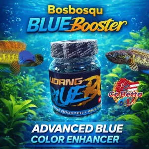 🇸🇬 Fish Food Blue Shrimp Daily Feed with Multivitamins | Natural Nutrition Color Boost for Channa Blue Growth Support
