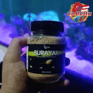 🇸🇬 Fish Food LE FISH Fry Powder 100g – High Protein Amino Formula for Betta Guppy Goldfish Louhan Growth Support