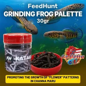 🇸🇬 Fish Food Insect Protein Frog Pellet FEEDHUNT Katak Giling 30g Natural Nutrition Color Boost Growth Support