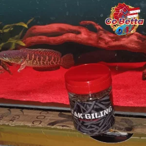 🇸🇬 Fish Food Insect Protein Frog Pellet FEEDHUNT Katak Giling 30g Natural Nutrition Color Boost Growth Support