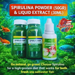 🇸🇬 Fish Food Spirulina Powder 50g Natural Nutrition Color Boost & Growth Support for Fry, Daphnia & Live Feed