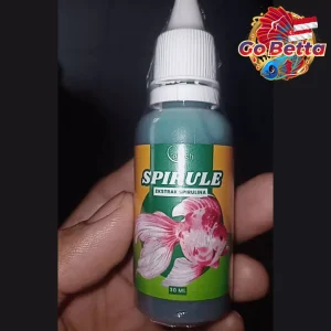 🇸🇬 Fish Food Spirulina Powder 50g Natural Nutrition Color Boost & Growth Support for Fry, Daphnia & Live Feed
