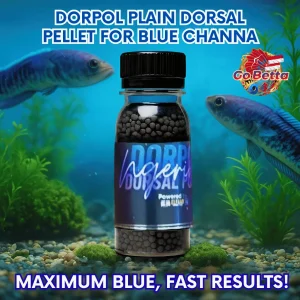 🇸🇬 Fish Food Super Blue Booster Premium for Channa Dorsal Polos, Intense Blue Color, Growth Support & Healthy Digestion