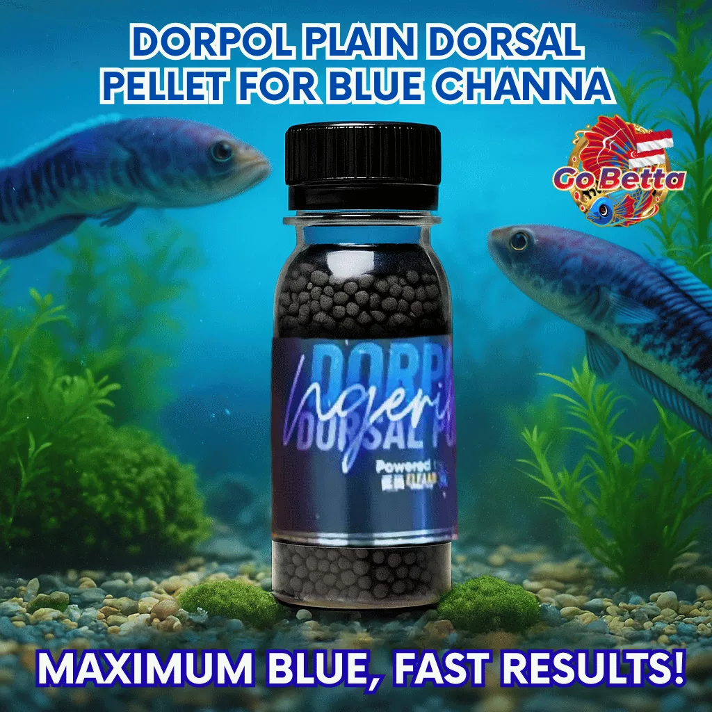 🇸🇬 Fish Food Super Blue Booster Premium for Channa Dorsal Polos, Intense Blue Color, Growth Support & Healthy Digestion