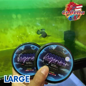 🇸🇬 Fish Food Super Blue Booster Premium for Channa Dorsal Polos, Intense Blue Color, Growth Support & Healthy Digestion