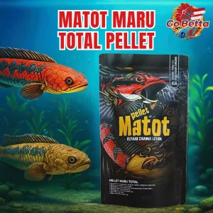 🇸🇬 Fish Food High Protein for Channa Maruliodes | Natural Nutrition, Color Boost, Batik & Pearl Growth Support