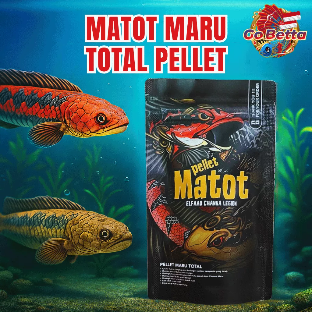 🇸🇬 Fish Food High Protein for Channa Maruliodes | Natural Nutrition, Color Boost, Batik & Pearl Growth Support
