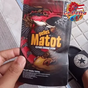 🇸🇬 Fish Food High Protein for Channa Maruliodes | Natural Nutrition, Color Boost, Batik & Pearl Growth Support