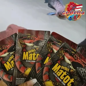 🇸🇬 Fish Food High Protein for Channa Maruliodes | Natural Nutrition, Color Boost, Batik & Pearl Growth Support