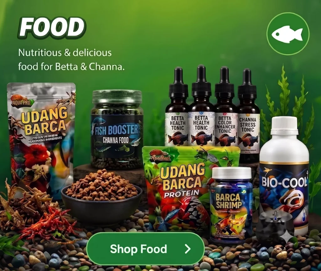 Food — Nutritious & delicious food for Betta & Channa.