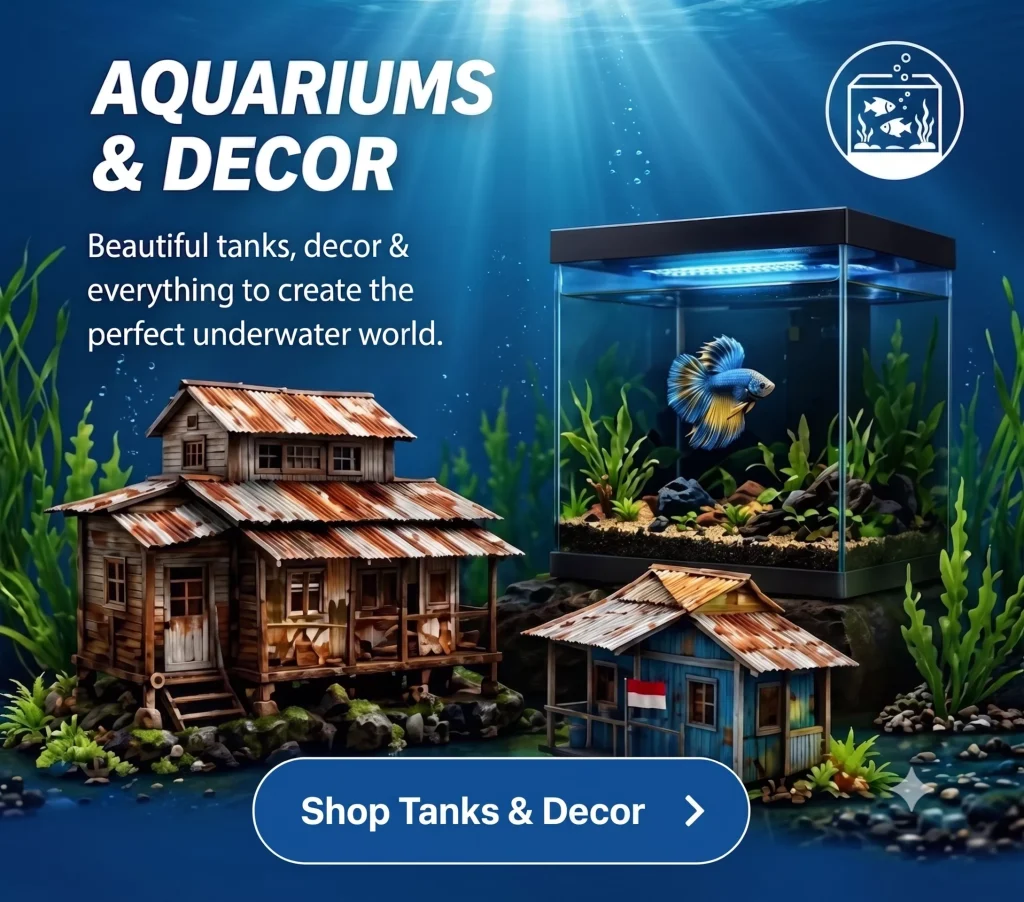 Aquariums & Decor — Beautiful tanks, decor & everything to create the perfect underwater world.