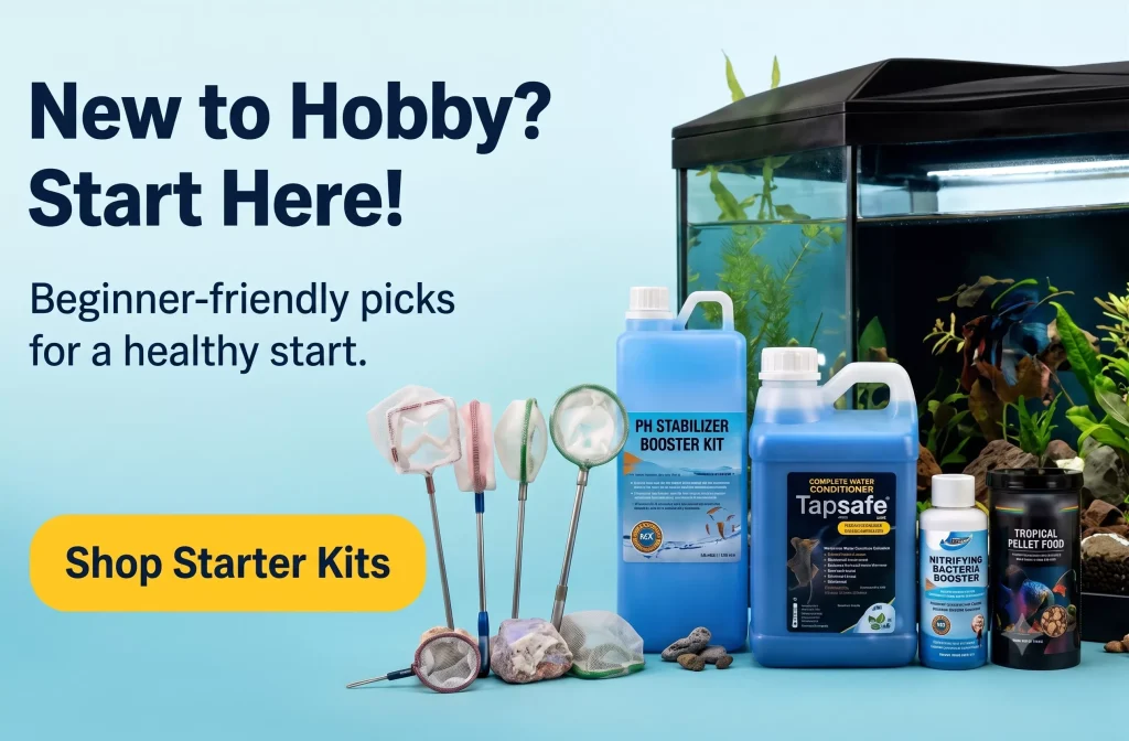 New to Hobby? Start Here — Beginner-friendly picks for a healthy start.